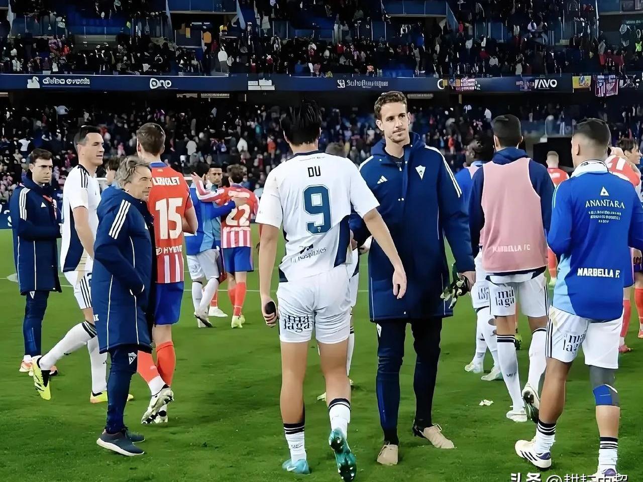 澳洲顶尖球队在比赛中展现出色表现 澳洲顶尖球队在比赛中展现出色表现