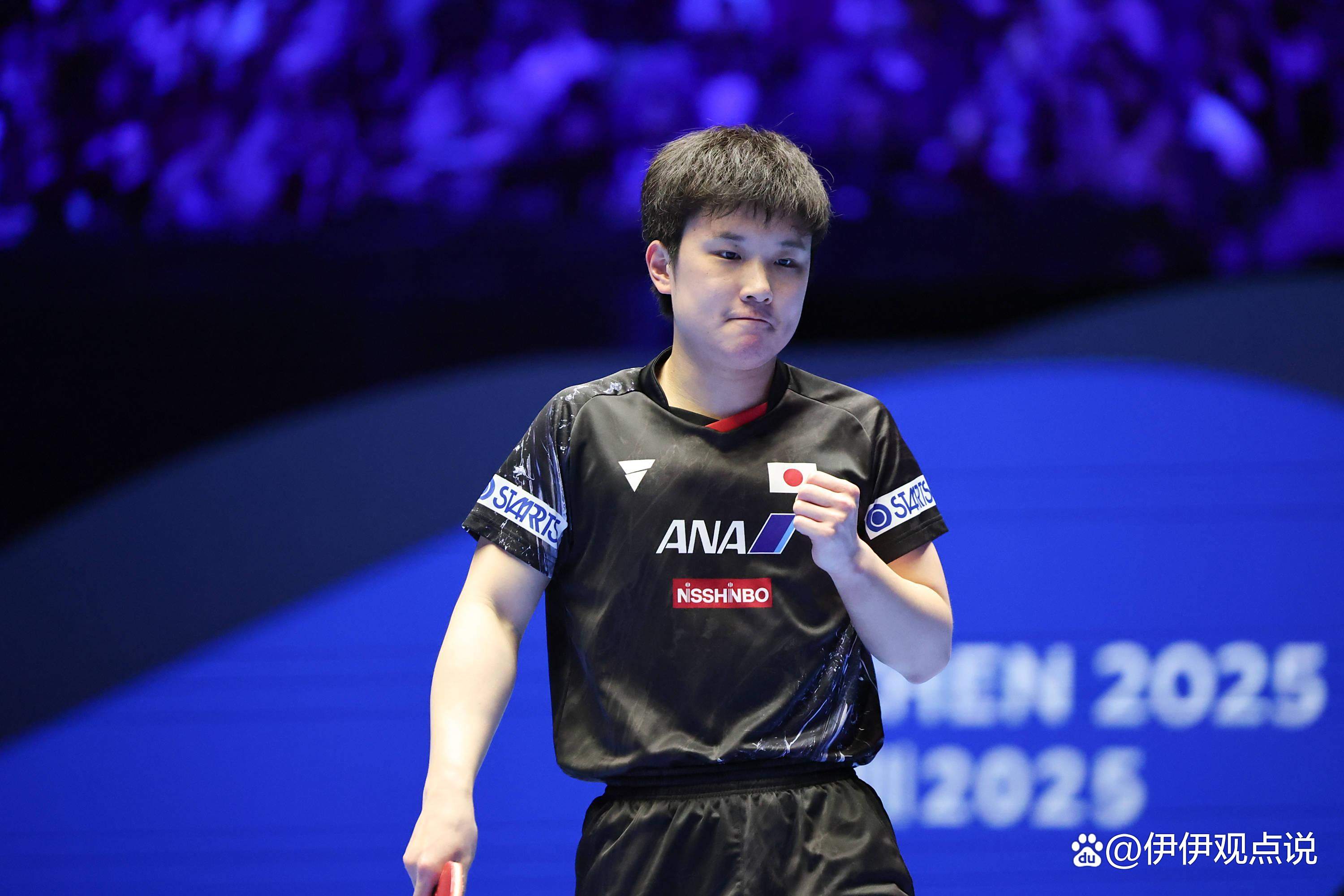 开云体育入口-法国乒乓球队力克瑞典乒乓球队，张本智和绝境逆转的简单介绍