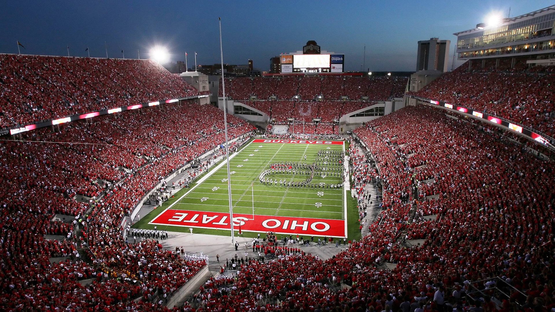 开云官方app入口-从横扫到执教，樊振东和他的东亚风暴